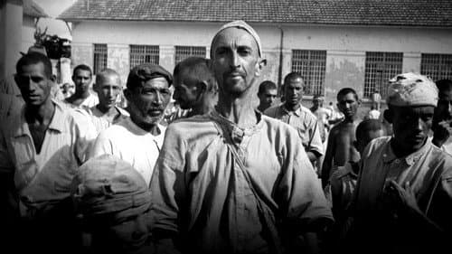 Brazilian Holocaust