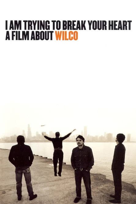 I Am Trying to Break Your Heart: A Film About Wilco