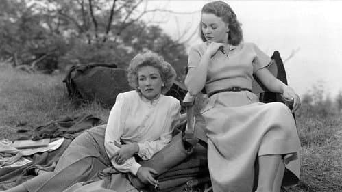 A Letter to Three Wives