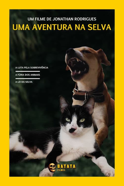 The Jungle Adventure