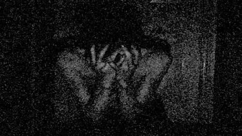 The Thin Pieces Of My Soul