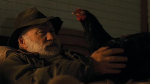 Hen