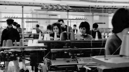 That Something... Else!