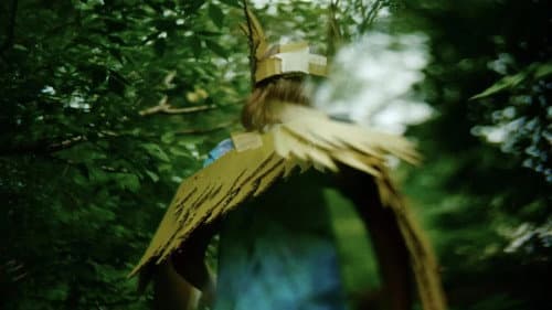 Death of a Yellow Bird