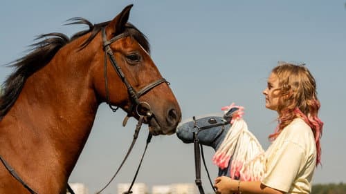 Pferd am Stiel