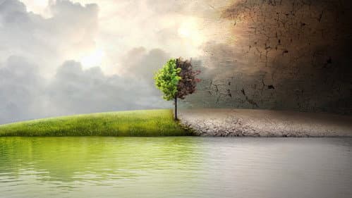 Before the Flood