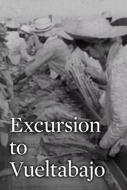 Excursion to Vueltabajo