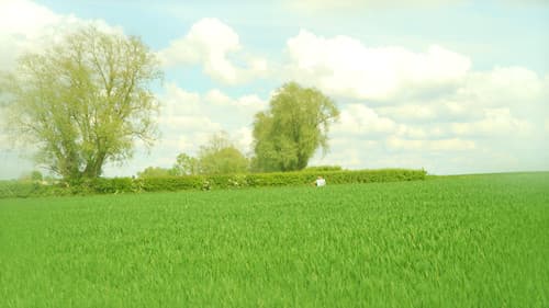 Hémisphère