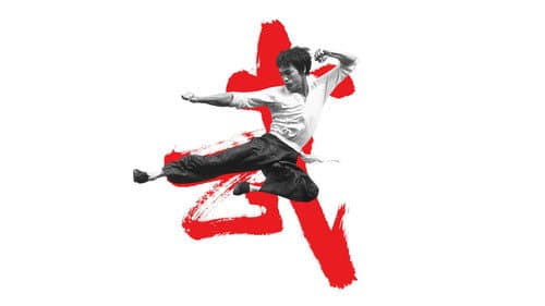I Am Bruce Lee
