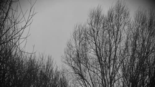 In Winter