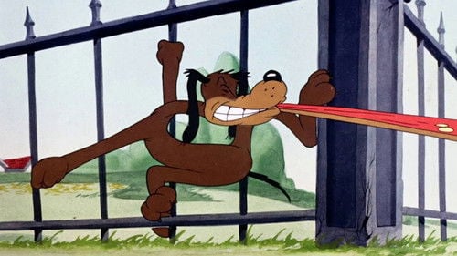 Behind the Meat-Ball