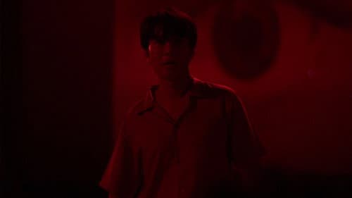 What Do You Seek in the Dark?