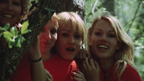 The Amorous Sisters
