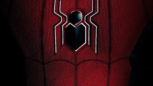 Spider-Man: All Roads Lead to No Way Home