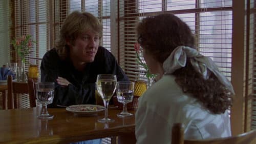 sex, lies, and videotape