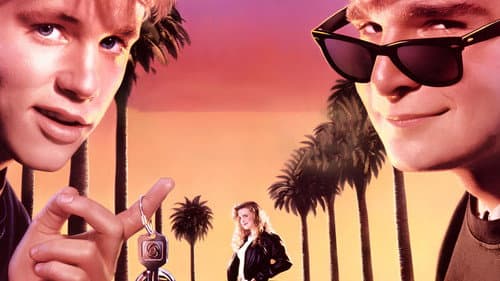 License to Drive