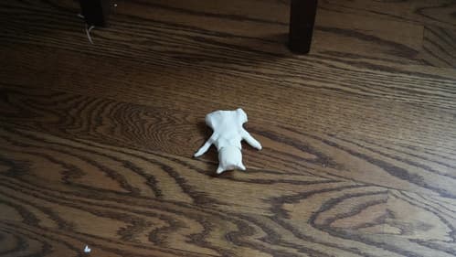 Critter 2: The Onion
