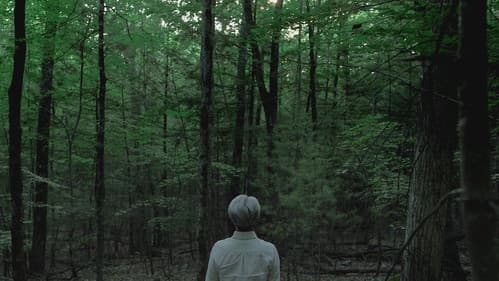 Ryuichi Sakamoto: CODA