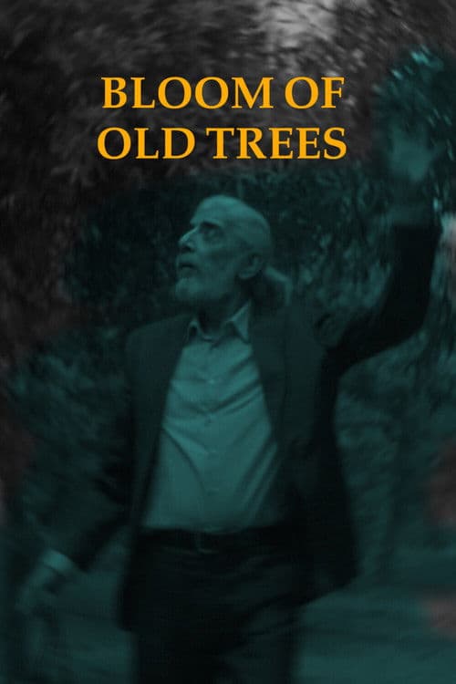 Bloom of Old Trees
