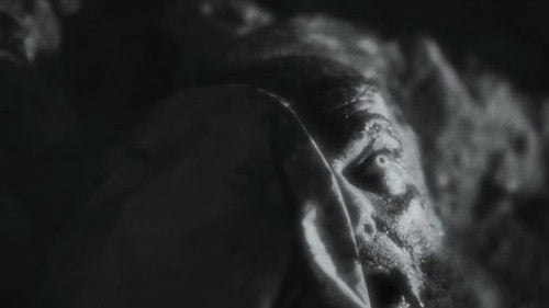 White Gardenia: The King James Bible