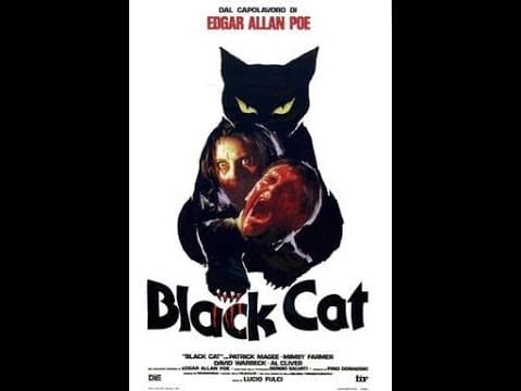 The Black Cat (1981) - TV Spot HD 1080p