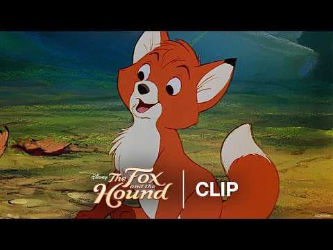 Tod & Copper Meet - Official Clip