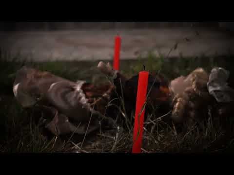 Coleccionista - Ven y juega conmigo (Teaser)