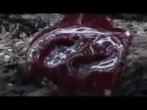 Severed - Forest of the Dead 2005 Trailer