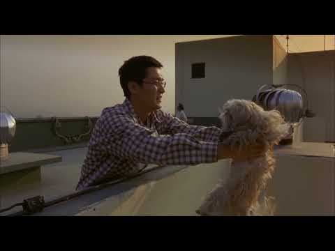 Barking Dogs Never Bite - Clip | Directed by Bong Joon-ho