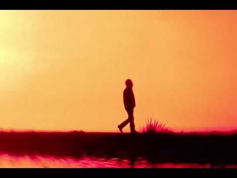 Orphelins (Bande-Annonce)