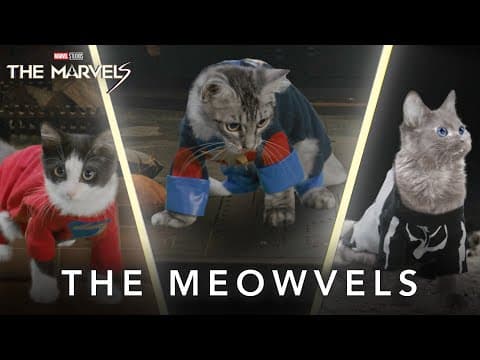 The Meowvels
