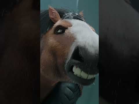 The straw that broke the horse’s back…
