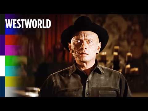 Killing The Gunslinger Robot