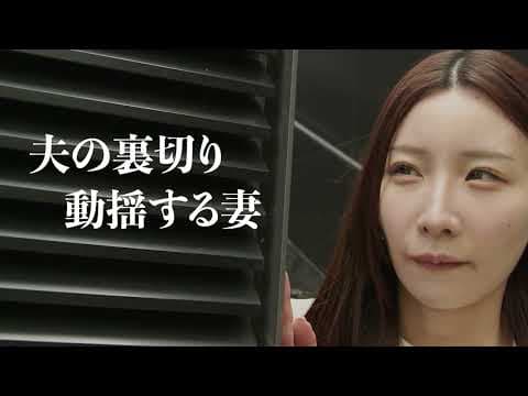 OP PICTURES 2025年11月21日(金)より公開! 加藤組 予告編