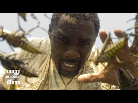 Bugs for Dinner?