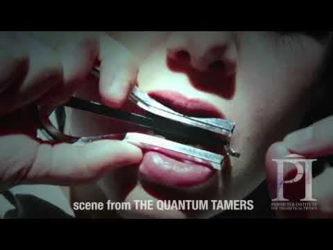 The Quantum Tamers: Revealing our weird and wired future