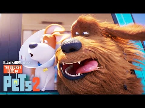 Max and Duke Go on a Road Trip!
