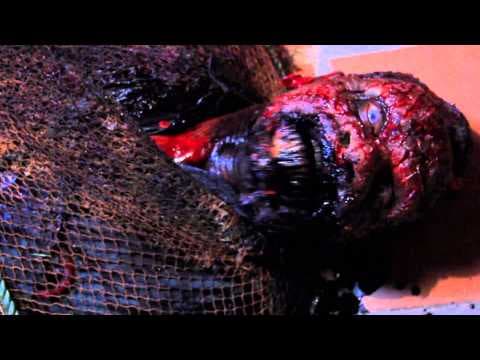 映画「シー・オブ・ザ・デッド sea of the dead」予告編