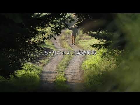 「プックラポッタと森の時間」予告編