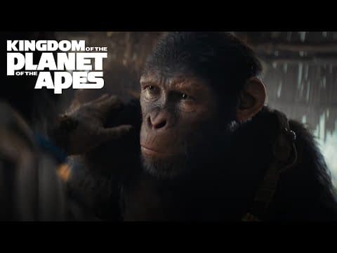 Stream Only On Hulu August 2