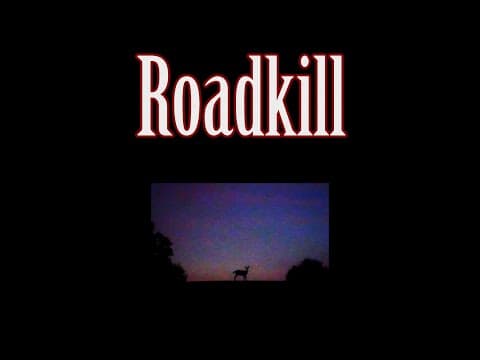 Roadkill