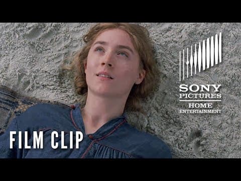 The Full Beach Scene