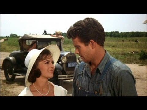 Dan Ireland on SPLENDOR IN THE GRASS