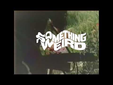 The Erotic Adventures Of Zoro from Something Weird Best Of David F. Friedman LP or CD + DVD