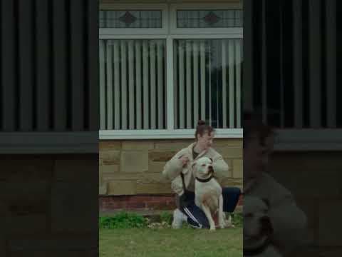 "Andrea Riseborough and Brenda Blethyn are at the top of their game" (Hollywood Reporter)