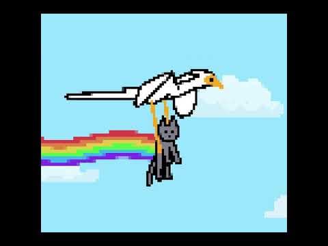 Nyan cat but make it FLOW 🐈⬛ featuring Secretarybird and Cat