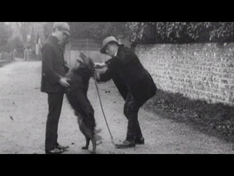 The Dog Detective (aka £100 Reward)