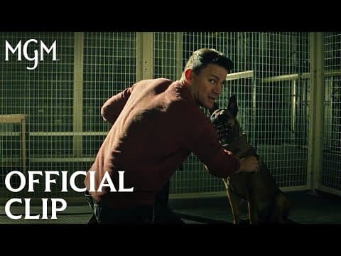 DOG | Briggs and Lulu Reunite – Official Clip | MGM Studios