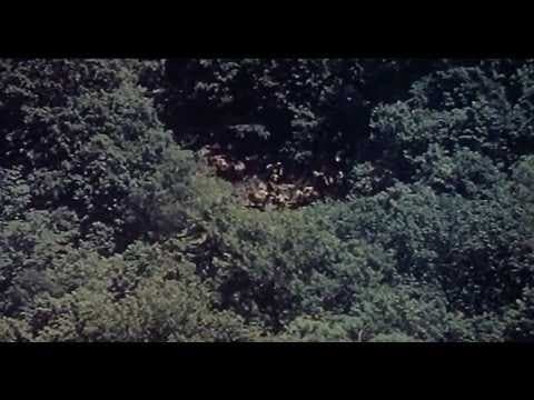 Дерсу Узала (Uzala der Kirgise) (Dersu Uzala) (Dersou Ouzala) (Trailer)