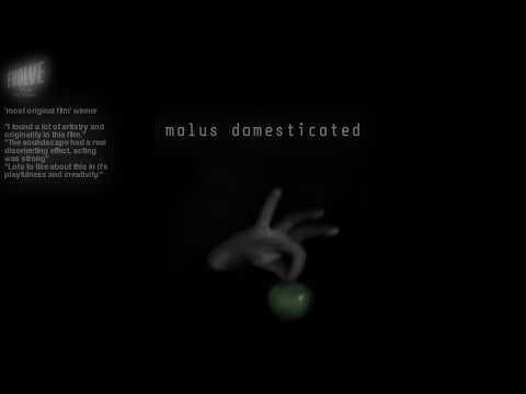 Malus Domesticated